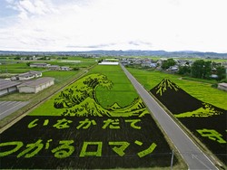Simlabim! Sawah Disulap Jadi Lukisan di Jepang