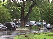 Hujan Lebat Rontokkan Dahan Pohon di Istana Negara