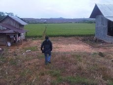 Digerus Tambang Batu Bara, Areal Transmigransi di Kukar Terus Menyusut