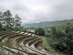 Malino, Puncak Pass Ala Sulsel