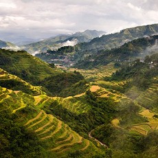 Ini Dia Teras Sawah Tertua di Dunia