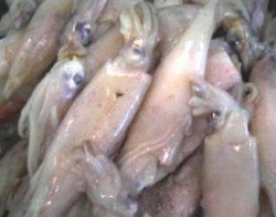 Kenali Ciri-Ciri Cumi yang Dibubuhi Bahan Berbahaya