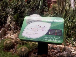 Bersantai di Taman Kaktus Changi International Airport