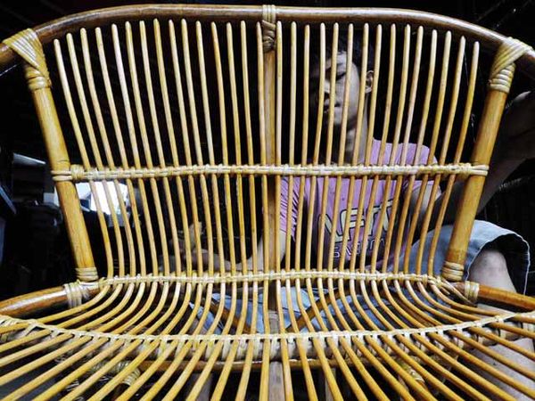 Pemerintah Belum Untungkan Pengusaha Rotan