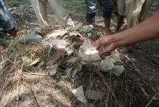 Terdesak Permukiman, Situs Arkeologi Kota Rantang di Sumut Terancam Hilang