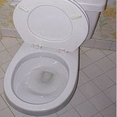 Cemburu, Pria Prancis Potong Penis Selingkuhan Kekasihnya!