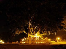Mencoba Mitos Beringin Kembar Alun-alun Selatan Yogyakarta