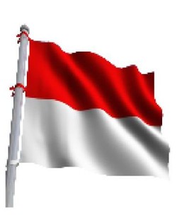 Bangga BERINDONESIA!