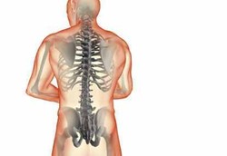 Hati-hati, Vitamin E Bisa Bikin Tulang Keropos