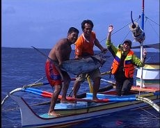 Porodisa Ala Talaud