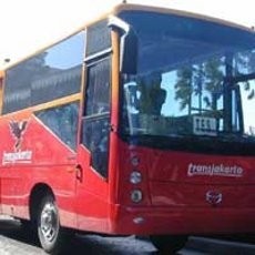 Pohon Tumbang Timpa Bus TransJ di Kramat Jati, Lalin Padat