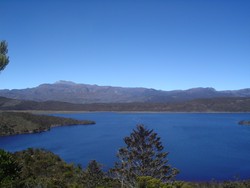 Senandung Alam Papua di Danau Habema