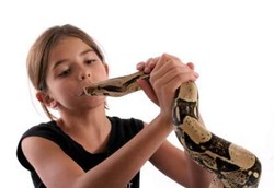 Perempuan Lebih Peka Melihat Ular Saat Mau Datang Bulan