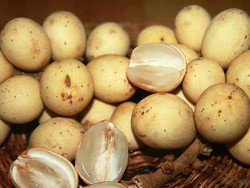 Duku, si Kuning Langsat Cegah Kanker Kolon 