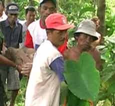 Dikabarkan Hilang, Ponari Malah Ditemukan Tewas Digorok