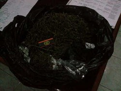 3 Pengedar Ganja Senilai Rp 19 Juta Dibekuk 