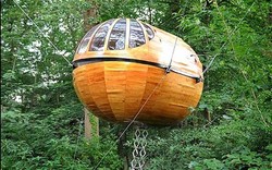 Hotel Tapi Rumah Pohon, Kenapa Tidak?