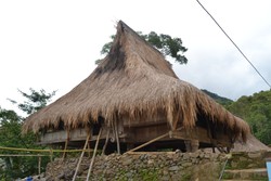 Wolondopo, Kampung Sang Mumi Kaki More