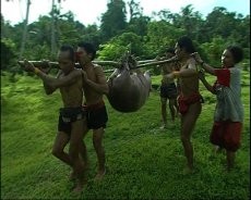 Kearifan Lokal, Suku Mentawai