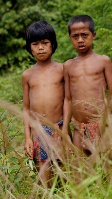 Hutan Terus Dijarah, Suku Terasing di Jambi Kekurangan Gizi
