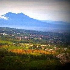 Asyik! Menikmati Alam Puncak dengan Paralayang