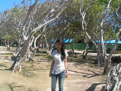 vacation goes to bali