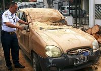Brak! Pohon Sono Tumbang Timpa Mobil