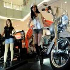 Hotpants Fashion Harley Davidson