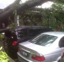 Pohon Tumbang Timpa 5 Mobil Mewah di Kejagung