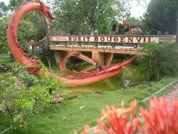 Yuk, Pesta Bunga di Taman Bukit Bougenville Singkawang