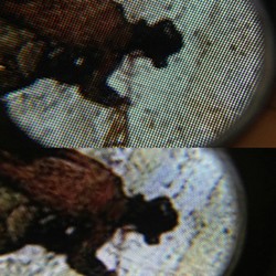 7 Bukti Ketajaman Retina Display New iPad