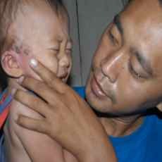 Meluas, Serangga Tomcat Merambah Situbondo