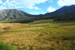 4 Padang Savana Terindah di Indonesia