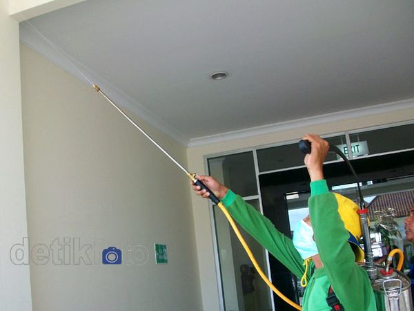 Serbu RSUD BDH, Serangga Tomcat Dibasmi