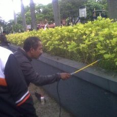 Ratusan Ulat di Taman Citarum Disemprot Racun