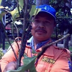 Hiii, Ratusan Ulat Serang Taman Citarum