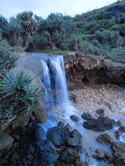 Wow! Ada Air Terjun di Tepi Pantai  