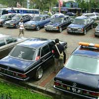 Target Pecahkan MURI, 128 Mercy Tiger Kumpul di Batu