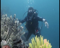 Permata Bahari Ternate