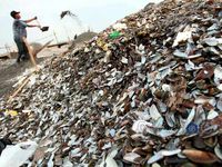 Menambang Pasir di Antara Tumpukan Kulit Kerang