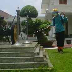 Gedung Negara Grahadi Disemprot Pestisida Tomcat