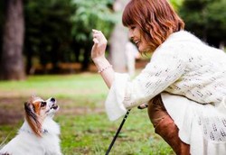 5 Kebiasaan Sehat Anjing yang Bisa Ditiru