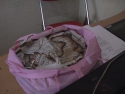 Lembaran Kertas Al-Quran Ditemukan Terbakar di Blitar