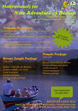 New Adventure of Borneo