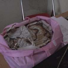 Lembaran Kertas Al-Quran Ditemukan Terbakar di Blitar 