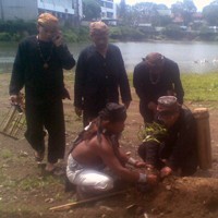 Tolak Gedung Baru DPRD, Masyarakat Adat Tanam Pohon Damar