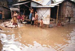 Masyarakat Miskin Lebih Enggan Ber-KB