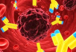 Wah, Ada Antibodi yang Bisa Menyusutkan Tumor