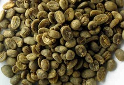 Biji Kopi Mentah Bisa Turunkan Berat Badan