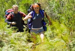 Hiking Paling Top untuk Melawan Stres